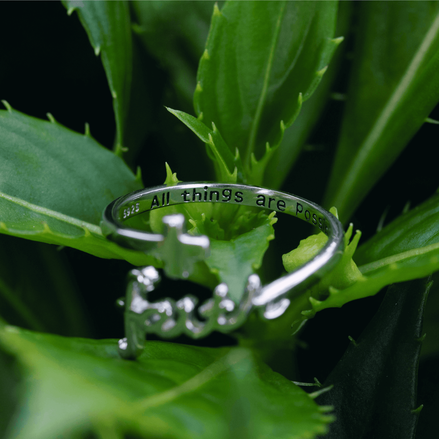 The Faith Ring